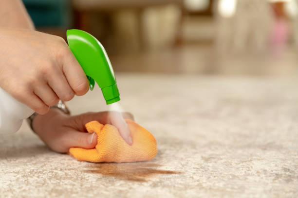 carpet care | America's Carpet Outlet