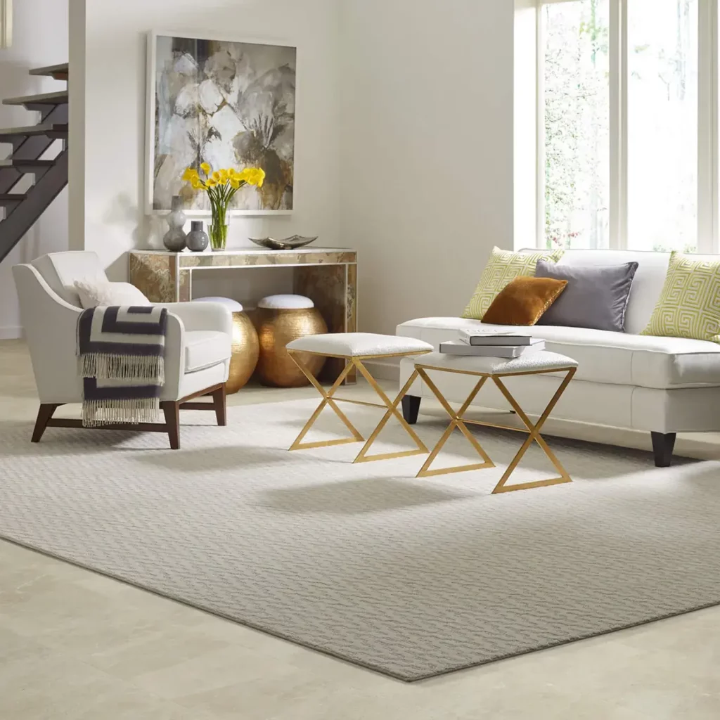 Area rug | America's Carpet Outlet