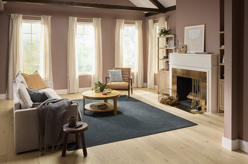 Flooring for your Living room | America's Carpet Outlet